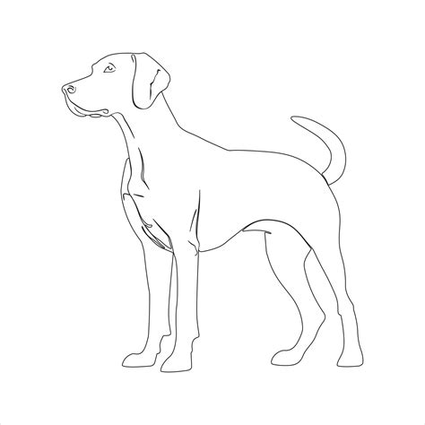 Hand drawn dog outline illustration 44633174 Vector Art at Vecteezy