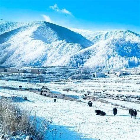 今日大雪丨仲冬始，愿平安今日大雪资料节气