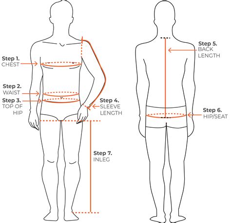 Hips Measurement