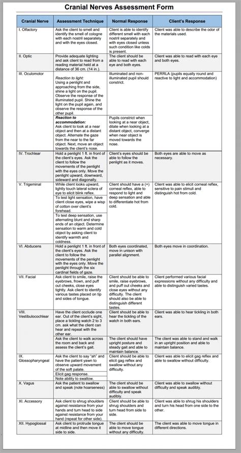 Cranial Nerves Assessment Form