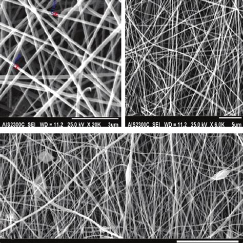 Scanning Electron Micrograph SEM Images Show The Electrospun Poly