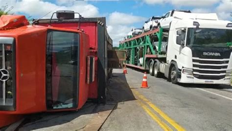 Carreta que transportava porcos tomba na BR 116 e carga de animais é