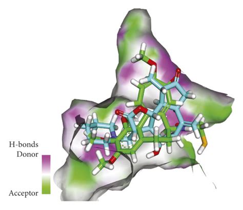 A D Structure Of Compound Docked Into The Colchicine Binding