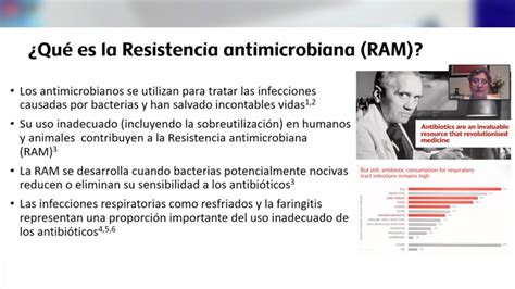 Resistencia Antimicrobiana La Falta De Sensibilidad De Una Bacteria A