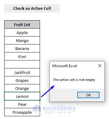 How To Check If Cell Is Empty Using Excel Vba Easy Methods Exceldemy