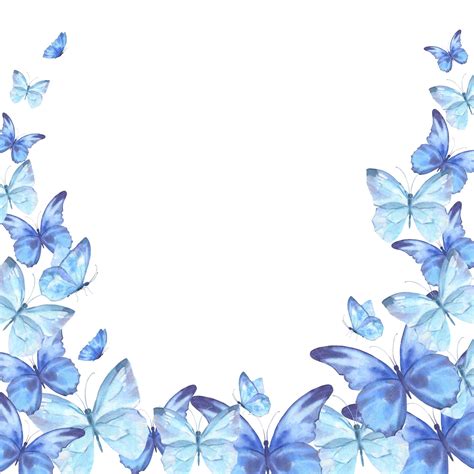 Blue Butterfly Border Designs