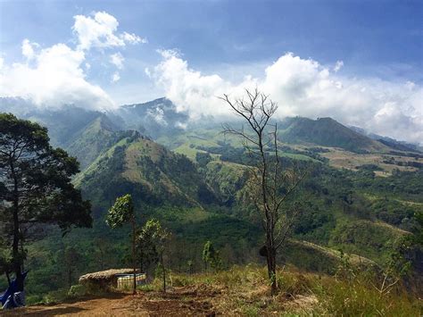 Rute Dan Alamat Bukit Budug Asu Malang Spot Wisata Ngehits Dilereng