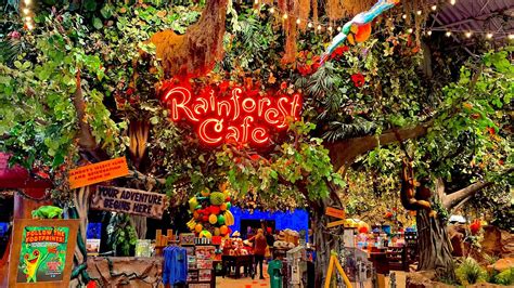 What Is Rainforest Cafe - Infoupdate.org