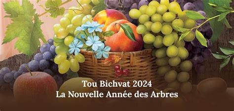 Tou Bichvat 2024 Date et Signification de la Fête Juive