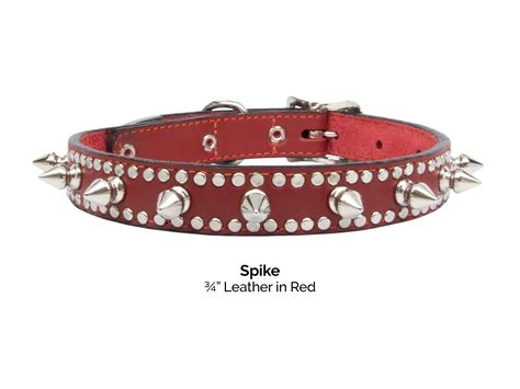 Spiked Dog Collars | Leather Dog Collar for Your Tough Dog