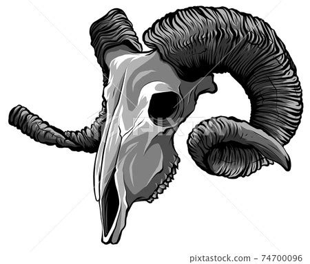 Monochromatic Realistic Red Goat Skull Vector Stock Illustration