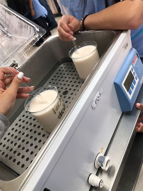 elaboración del yogurt