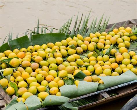 cai lay bike tours  prices tripadvisor