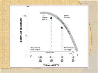 Contrast Sensitivity Charts Ppt