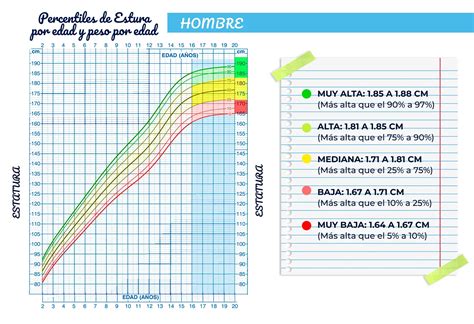 Estaturas de los niños comparación de estaturas y promedios