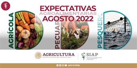 Expectativas de Producción Agropecuaria y Pesquera Servicio de