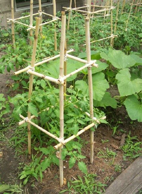 27 DIY Tomato Cage Trellis Stake Ideas Balcony Garden Web