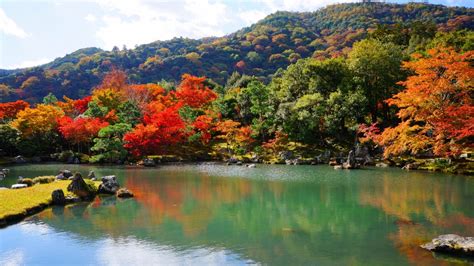 天龍寺 紅葉 嵐山の美しい庭園と鮮やかなもみじ 京都もよう Kyoto Moyou