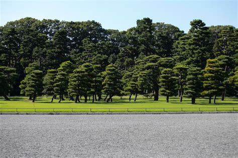 Premium Photo | Gardens outside the imperial japanese castle in Tokyo