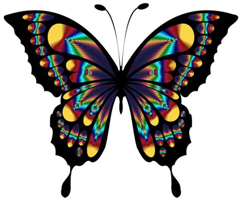 Colorful Butterfly Clip Art Image Clipsafari