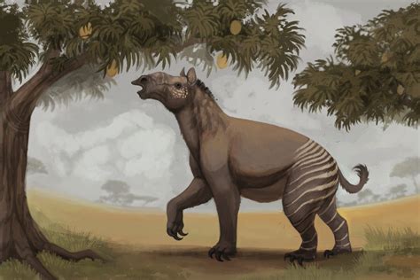 Ancylotherium Skeleton