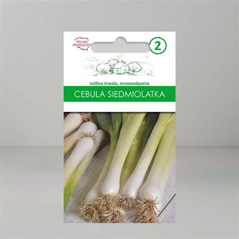 Cebula Siedmiolatka Long White Koshigaya Bia E G Nasiona