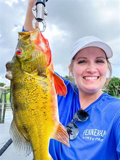 Peacock Bass Fishing Florida