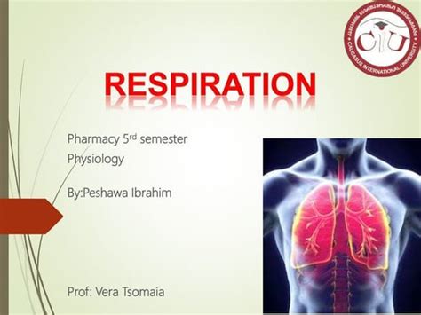 Respiratory System Ppt