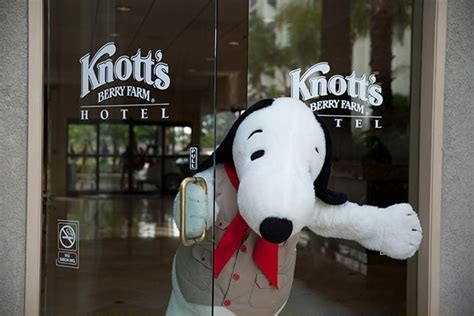 Knotts Berry Farm Makes Big Hotel Announcement