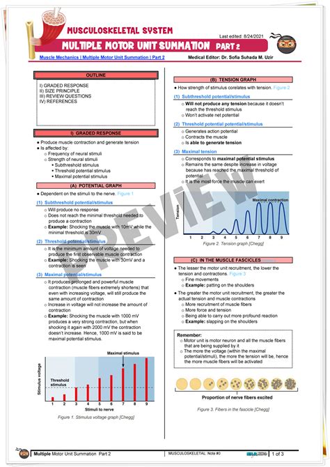 Muscle Mechanics | Multiple Motor Unit Summation - Notes - NinjaNerd Medicine