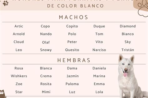 Apodos Adorables Para Beb S Gorditos Descubre Los Nombres M S