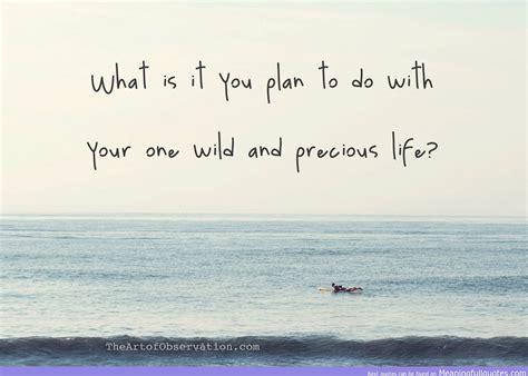 What Is It You Plan To Do With Your One Wild And Precious Life Good