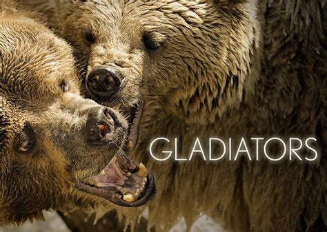 Gladiators Tv Series Episode List Imdb