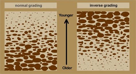 Graded bedding - Alchetron, The Free Social Encyclopedia