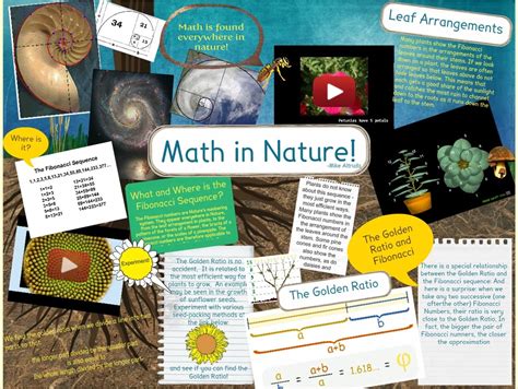 Introduction Math In Nature