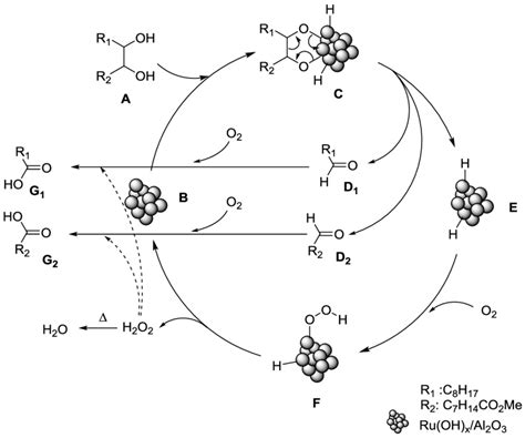 Proposed mechanism for the oxidative cleavage of vicinal diol by Ru(OH)... | Download Scientific ...