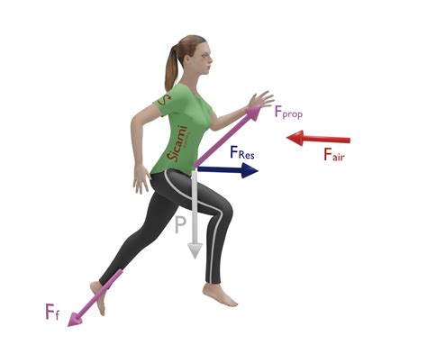 Fuerzas Al Andar O Correr Física Andando Y En La Carrera A Pie