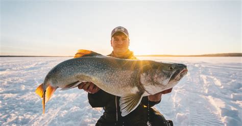 Multi Species Ice Fishing In The Heart Of Canada Hunt Fish Manitoba