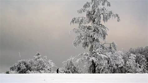 Germany Turns White After Heavy Snowfall Flights And Long Distance Trains Cancelled