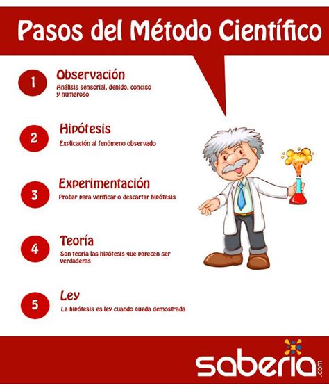 7 Pasos Del Metodo Cientifico Cuales Son Con Explicaciones Toda