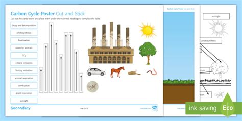 The Carbon Cycle Cut And Stick Worksheet Teacher Made