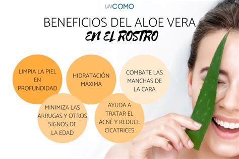 Cómo Aplicar Aloe Vera En La Cara ¡no Te Pierdas Los Mejores Beneficios Y Trucos