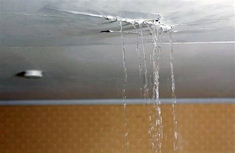 Most Common Causes Of Water Leaks In Your Home