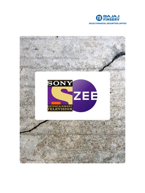 Zee Sony Merger