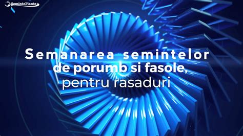 Semanarea Semintelor De Porumb Si Fasole Pentru Rasaduri Youtube