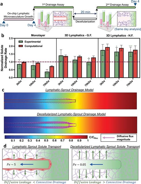 MicrofluidicBased Reconstitution Of Functional Lymphatic