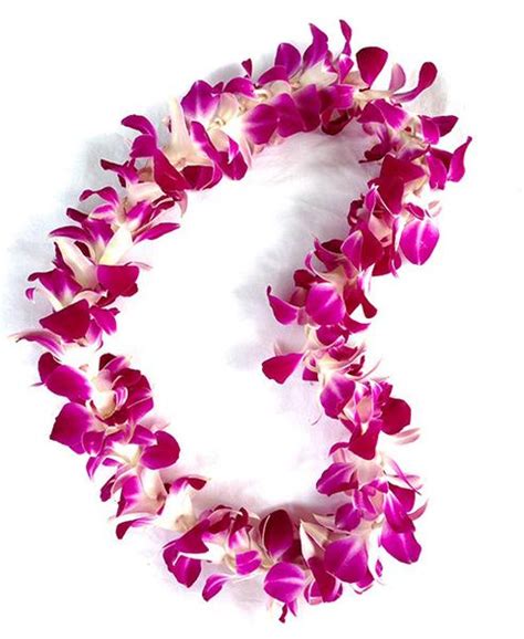 Single Purple Orchid Lei Pacific Leis