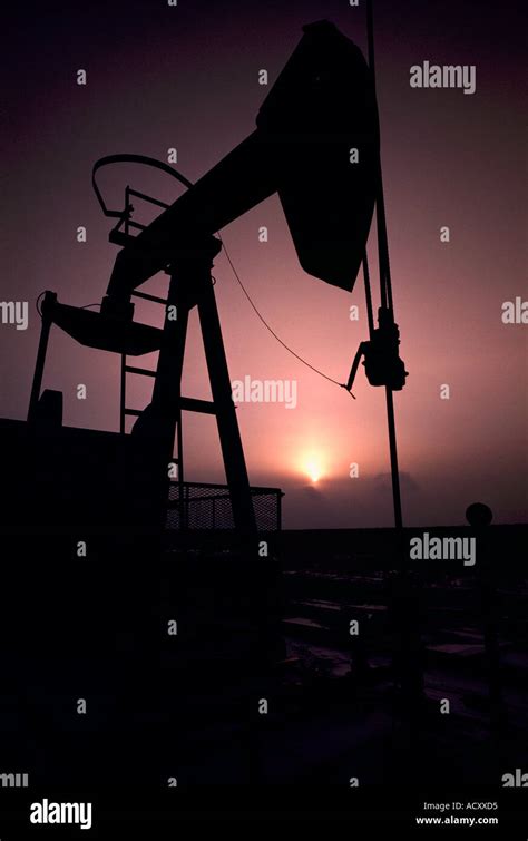 Pump Jack Oil Donkey Pumping At Oil Well In Oil Field North Of Dawson