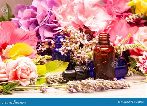 Flowers And Bottles Of Essential Oils For Aromatherapy Stock Photo