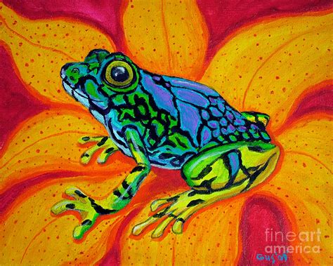 Colorful Frog by Nick Gustafson